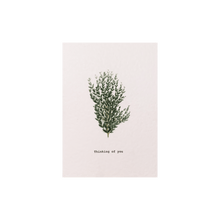 Load image into Gallery viewer, Celtic Herbal x Folded London Greeting Cards - Thinking of You