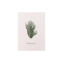 Load image into Gallery viewer, Celtic Herbal x Folded London Greeting Cards - Thinking of You

